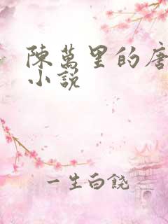 陈万里的唐嫣然小说