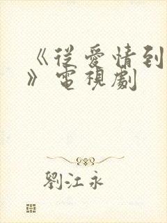 《从爱情到幸福》电视剧