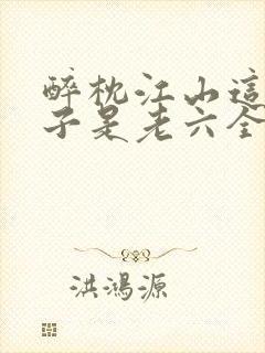 醉枕江山这个皇子是老六全集