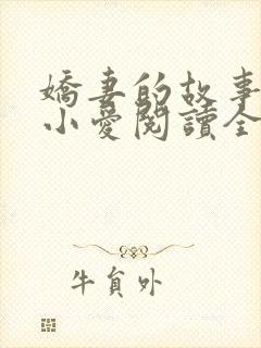 娇妻的故事吴勇小爱阅读全文小说