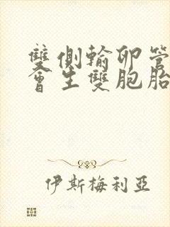 双侧输卵管排卵会生双胞胎吗