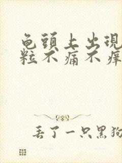 龟头上出现小肉粒不痛不痒