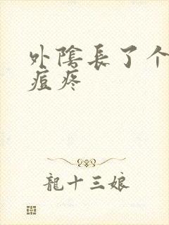 外阴长了个大痘痘疼