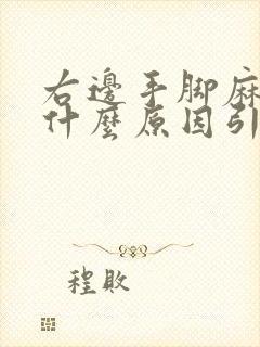 右边手脚麻木是什么原因引起的