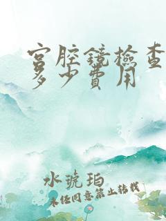 宫腔镜检查一般多少费用