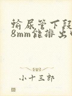 输尿管下段结石8mm能排出吗