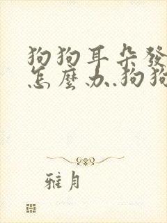 狗狗耳朵发炎了怎么办.狗狗耳朵发炎