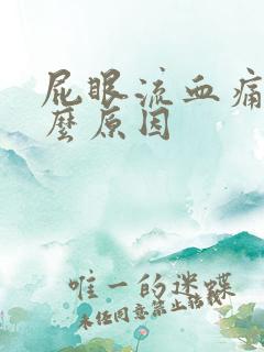 屁眼流血痛是什么原因