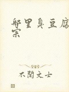 哪里臭豆腐最正宗