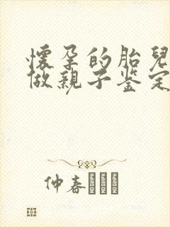 怀孕的胎儿可以做亲子鉴定吗