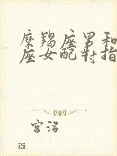 摩羯座男和处女座女配对指数