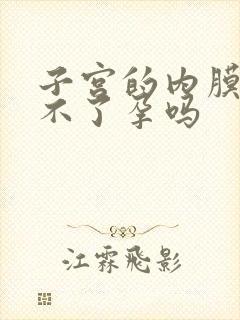 子宫的内膜薄怀不了孕吗