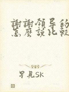 谢谢领导的话要怎么说比较好