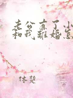 老公有了小三要和我离婚怎么办