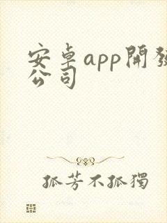 安卓app开发公司