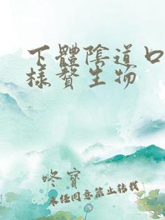 下体阴道口菜花样赘生物