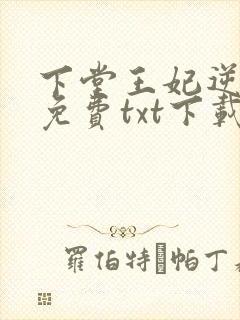 下堂王妃逆袭记免费txt下载