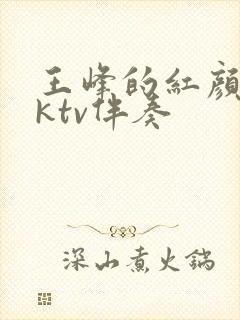 王峰的红颜知己ktv伴奏