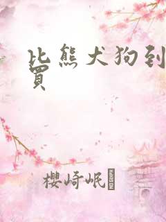 比熊犬狗到哪里买