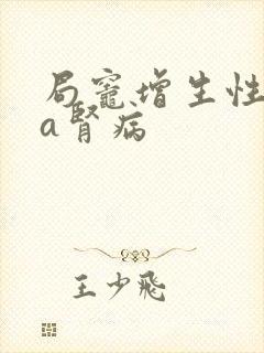 局灶增生性iga肾病