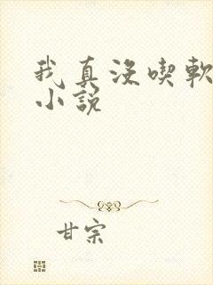 我真没吃软饭 小说