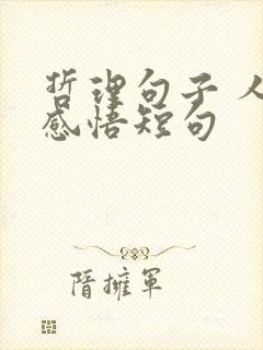 哲理句子 人生感悟短句