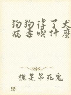 狗狗得了犬瘟热病毒吃什么药