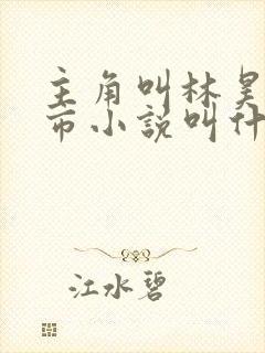 主角叫林昊的都市小说叫什么