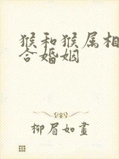 猴和猴属相合不合婚姻