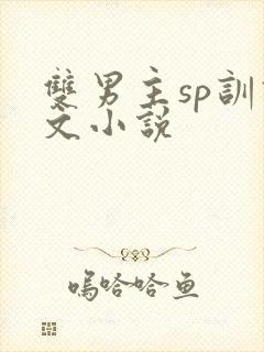 双男主sp训诫文小说