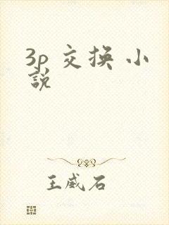 3p 交换 小说