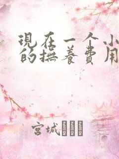 现在一个小孩子的抚养费用多少钱