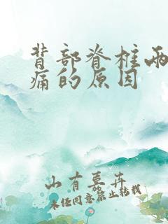 背部脊椎两侧疼痛的原因