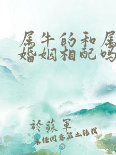 属牛的和属狗的婚姻相配吗