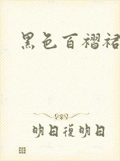 黑色百褶裙半裙