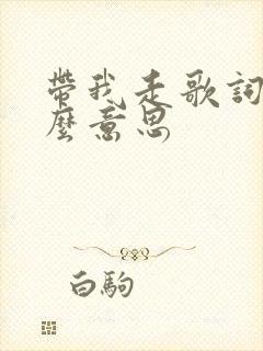 带我走歌词是什么意思