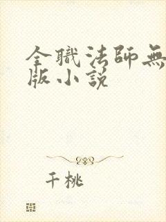 全职法师无删减版小说