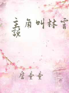 主角叫林霄的小说