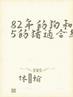 82年的狗和95的猪适合结婚吗