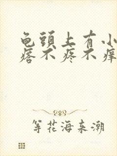 龟头上有小红疙瘩不疼不痒是怎么回事