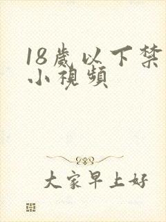 18岁以下禁看小视频