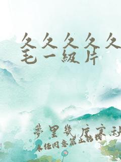 久久久久久久无毛一级片