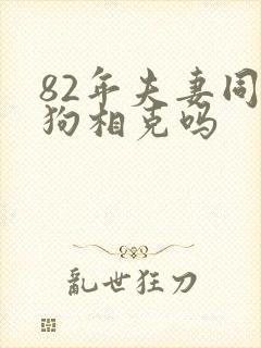 82年夫妻同属狗相克吗