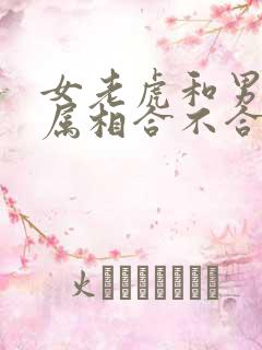 女老虎和男兔子属相合不合