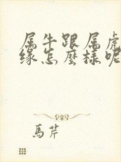 属牛跟属虎的姻缘怎么样呢