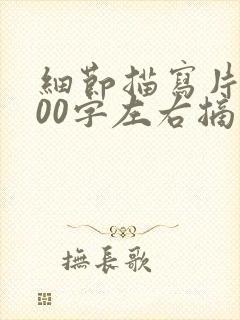 细节描写片段300字左右摘抄