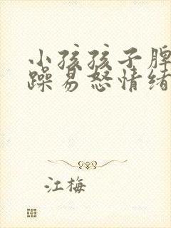 小孩孩子脾气暴躁易怒情绪低落