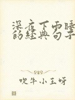 深夜下雨睡不着的经典句子说说心情