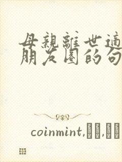 母亲离世适合发朋友圈的句子