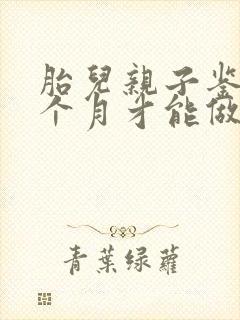 胎儿亲子鉴定几个月才能做